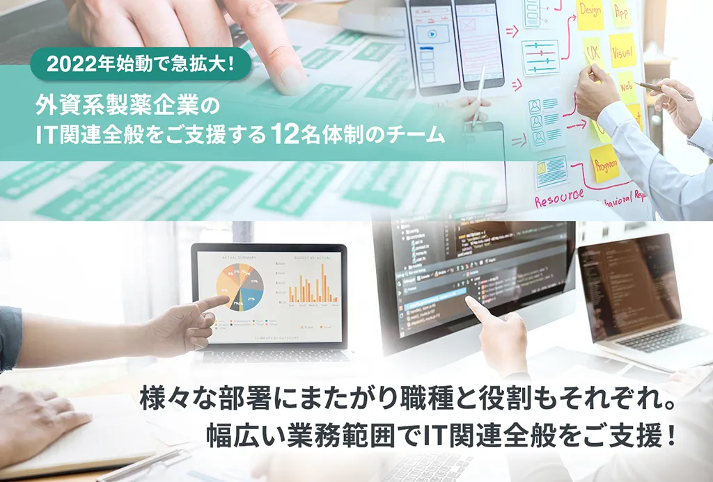 2022年始動で急拡大!外資系製薬企業のIT関連全般をご支援する12名体制のチーム